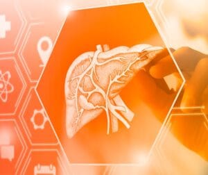 HepatoBurn: The Hidden Key to Rapid Fat Loss! (2025)